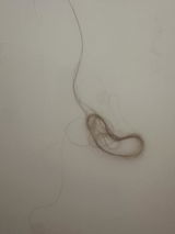 Saira Hasan review photo
