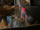 Lotus review photo