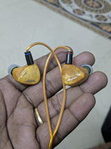 Madhur Shankar review photo