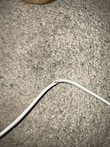 Lauren review photo