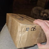 Cindy B. review photo