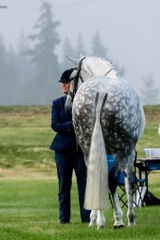 Trevalda review photo