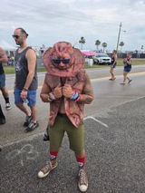 Davie Rockit review photo