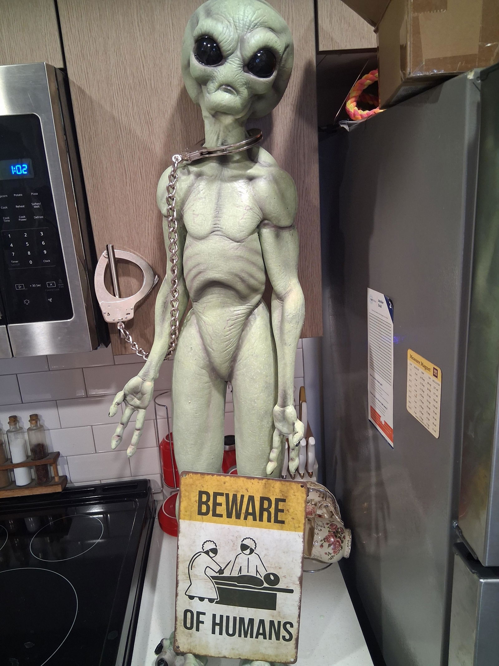 Area 51 Alien Statue