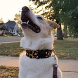 Samantha review photo