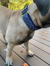 Hailey review photo