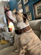 Brandy review photo