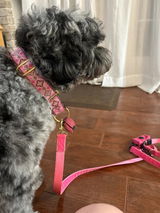 Nita review photo