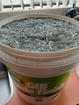 Sherbet s. review photo