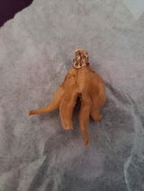 Etsy customer review photo