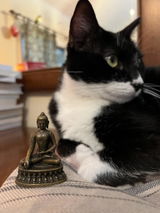 Etsy customer review photo