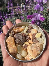Lia T review photo