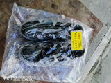 da d. review photo
