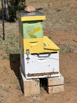 One Queen Keeper - Single Brood Box