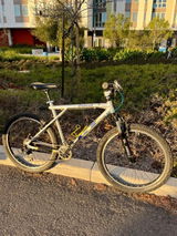 Shamil review photo