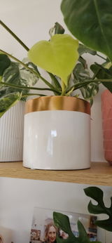 Antonia Bettany review photo