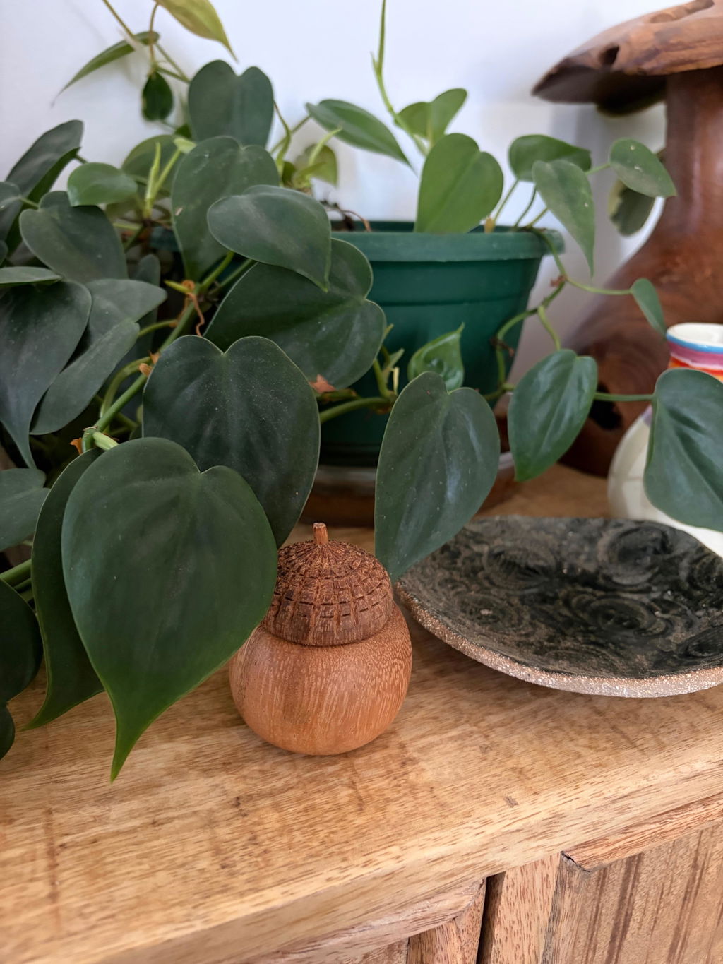 Acorn Pot