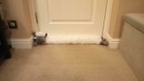Nicole Watson review photo