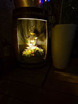 Shona Bremner review photo