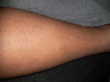 Tammy D. Marcoux review photo