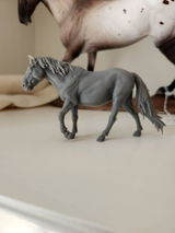 Arianna review photo