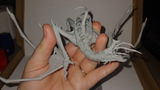 Willa review photo