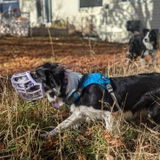 Nita review photo