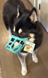 Joell review photo