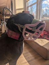 Brooke review photo