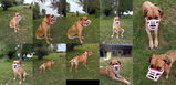 Marie B. review photo
