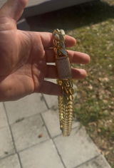 Kevin.R review photo