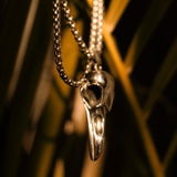 Dawid review photo
