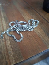Petra B. review photo