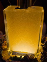 Carlo Tluste review photo