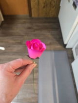 Deb review photo