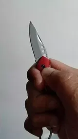 gregory10 review photo