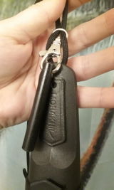 paradisejen review photo