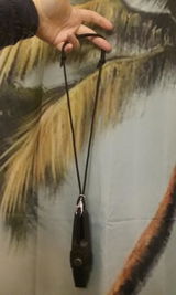 paradisejen review photo