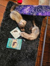 Etsy customer review photo