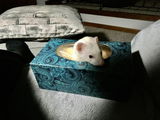 Etsy customer review photo