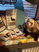 Etsy customer review photo