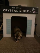 Etsy customer review photo
