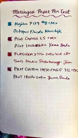 Wendi Sue - Fountain Pen News review photo