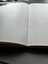 Aila review photo