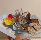 Thinh review photo