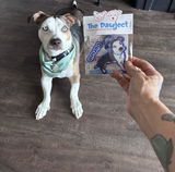 Jjvanwie review photo