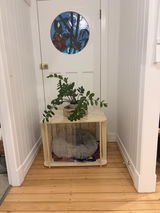 Susan review photo
