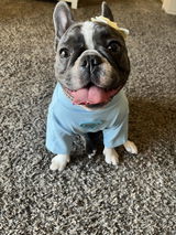 Phally S. review photo