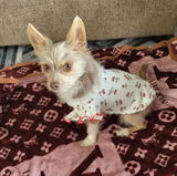 Gabriela G. review photo