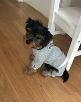 Chanty review photo